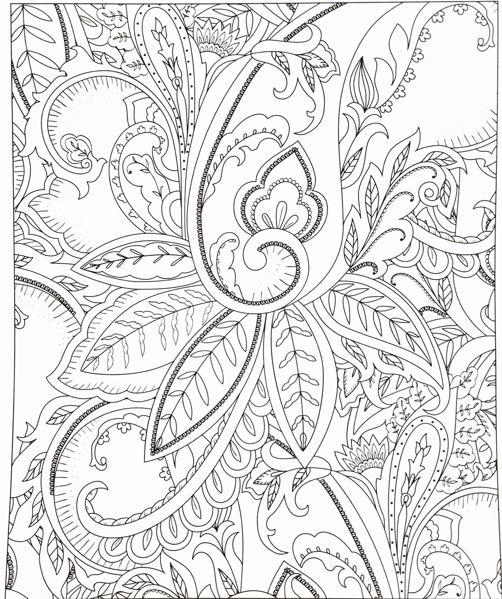 Design Coloring Pages Arts Flower Outline Drawing Fascinating Stormtrooper Vector Birijus Com