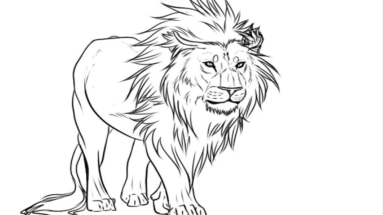 Lion Coloring Pages Coloring Pages Easy Kids Drawing Lion