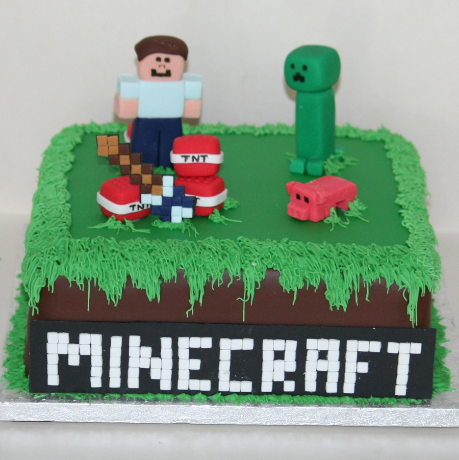 Minecraft Birthday Cakes Minecraft Cake With Steve Birijus