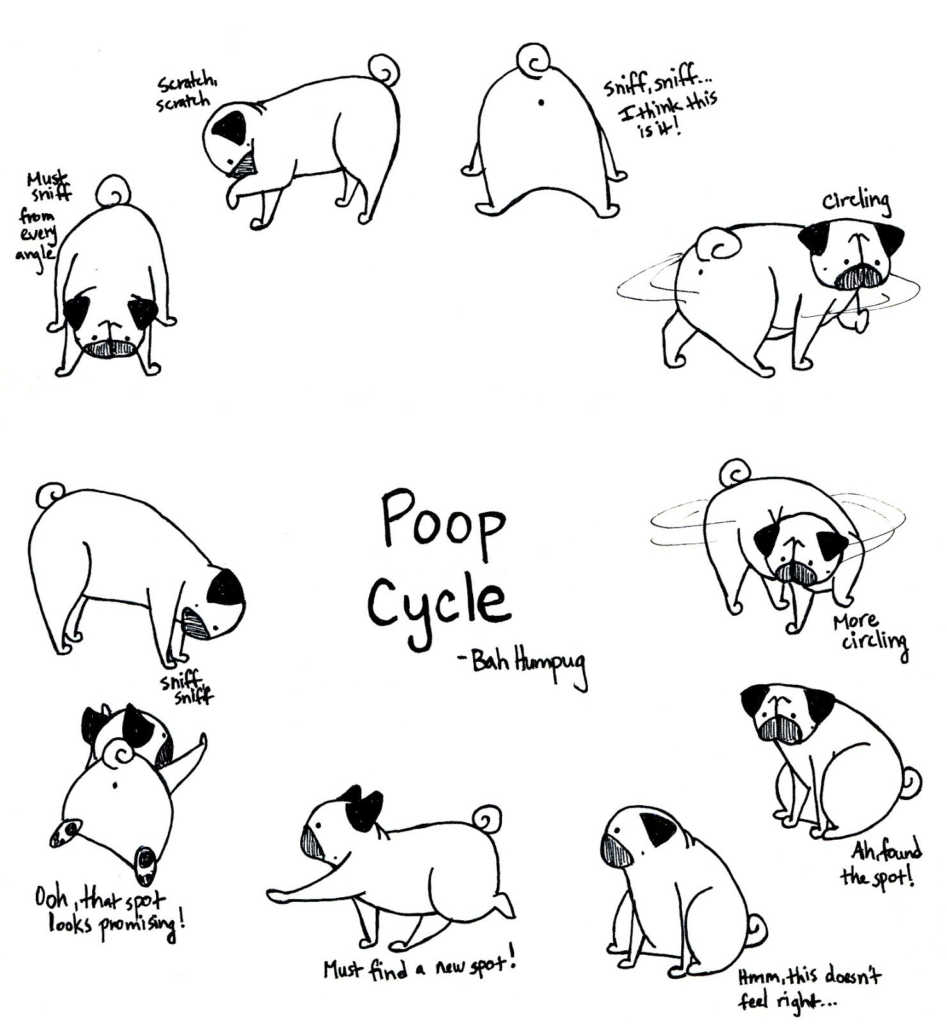 Pug Coloring Pages Best Of Easy Cute Pug Coloring Pages Design - Pug Coloring Pages Best Of Easy Cute Pug Coloring Pages Design