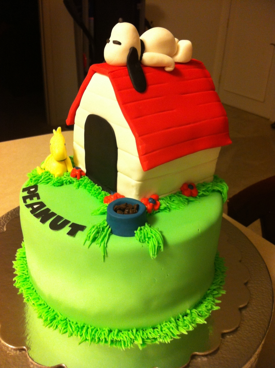 Snoopy Birthday Cake Snoopy Birthday Cake Cakecentral Birijus Com