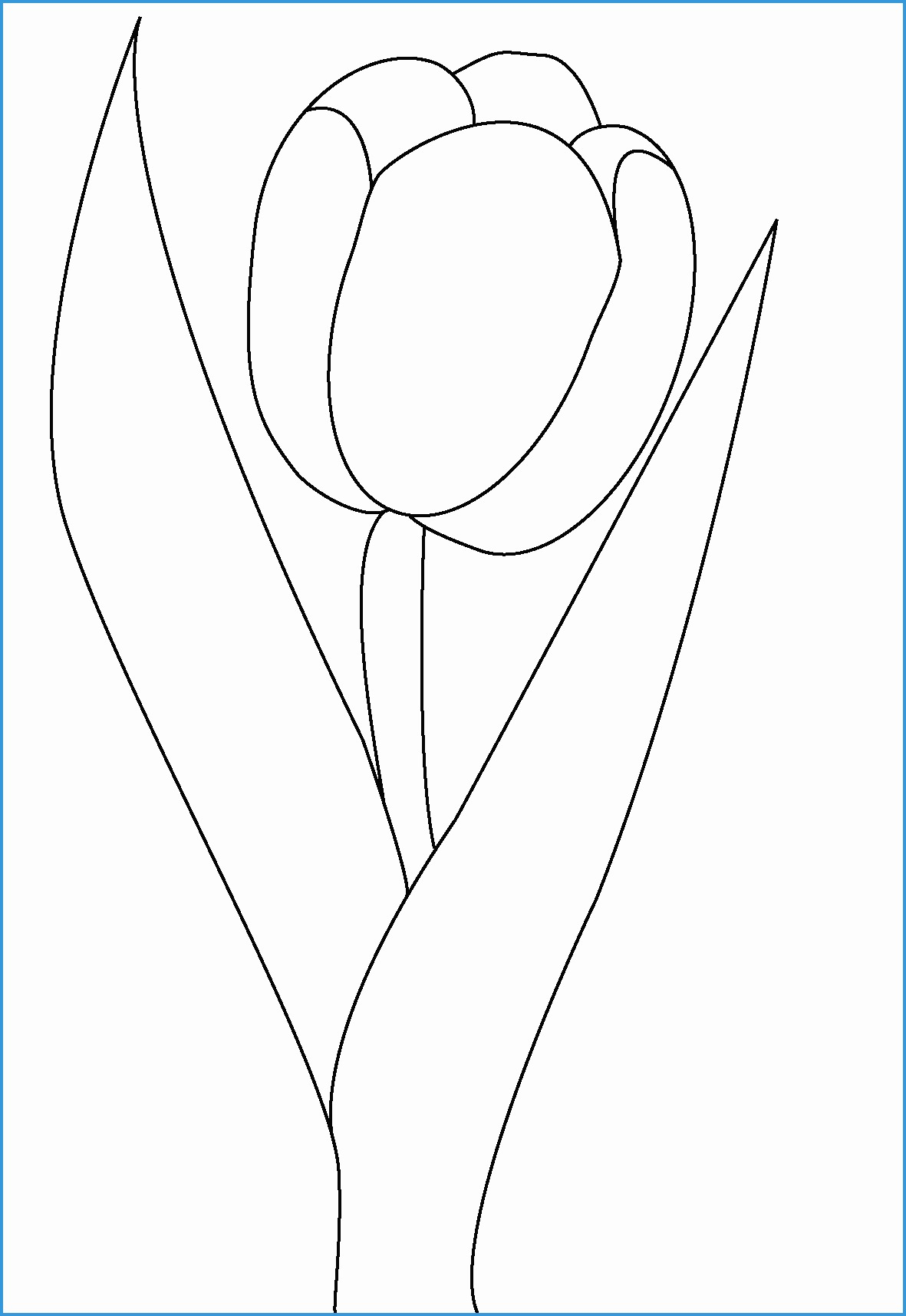 Tulip Coloring Pages Free Printable Graphics Template Amazing