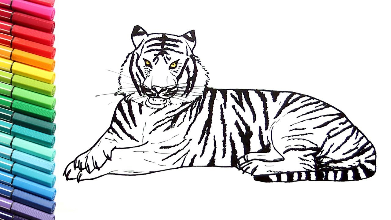 Wild Animal Coloring Pages Sketches Of Wild Animals For Kids Drawing And Coloring A Tiger How Birijus Com
