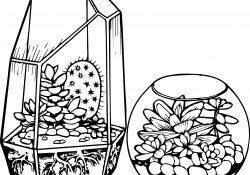 Cactus Coloring Page Cactus And Succulent Printable Adult Coloring Pages