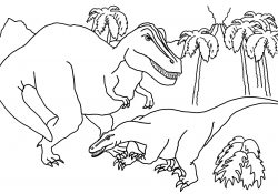 Dinosaur Coloring Page Dinosaur Coloring Pages