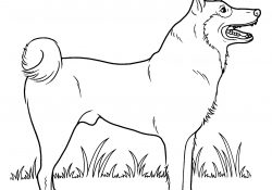 Dog Coloring Page Dogs Coloring Pages Free Coloring Pages
