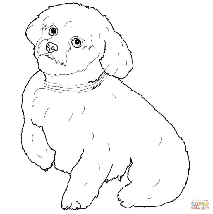 Dog Coloring Page Dogs Coloring Pages Free Coloring Pages - birijus.com