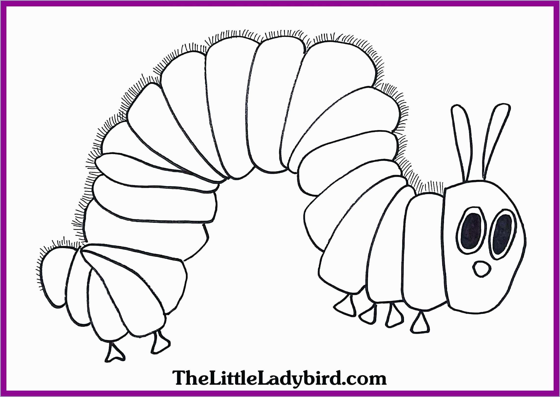 Creative Photo of Eric Carle Coloring Pages