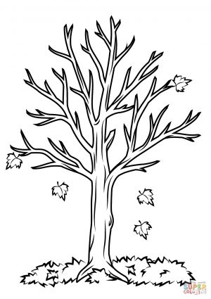 Fall Coloring Pages For Kids Fall Tree Coloring Page Free Printable ...