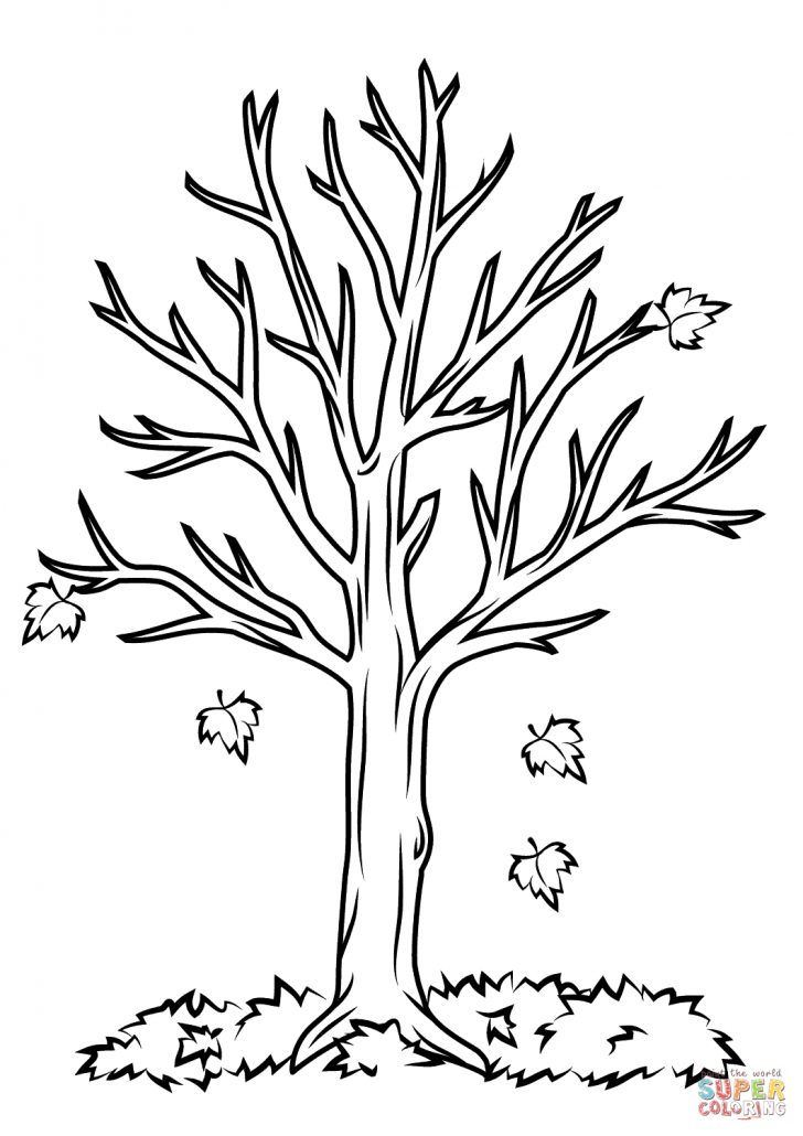 Fall Coloring Pages For Kids Fall Tree Coloring Page Free Printable ...