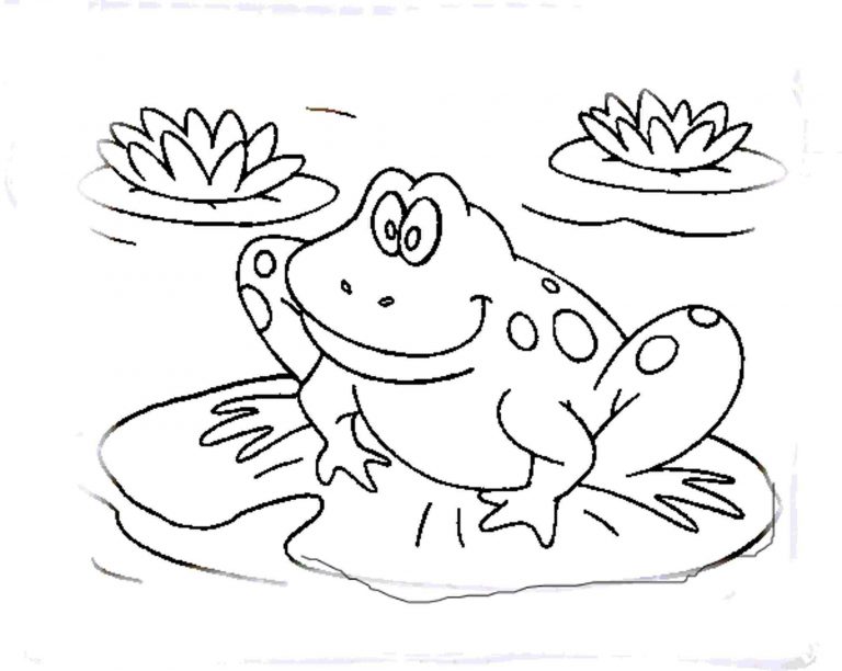 Frog Coloring Page Coqui Coloring Page Beautiful Amphibian Cartoon Frog ...