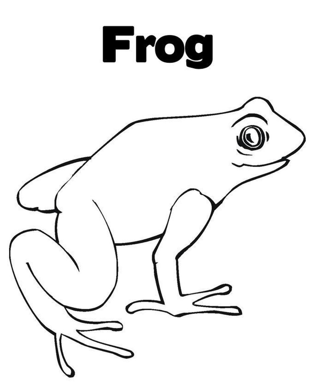 Frog Coloring Page Frog Coloring Page Free Animal Coloring Pages Of ...