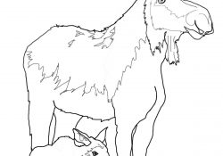 Moose Coloring Pages Moose Coloring Pages Free Coloring Pages