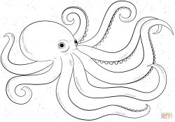 Octopus Coloring Page Cartoon Octopus Coloring Page Free Printable Coloring Pages
