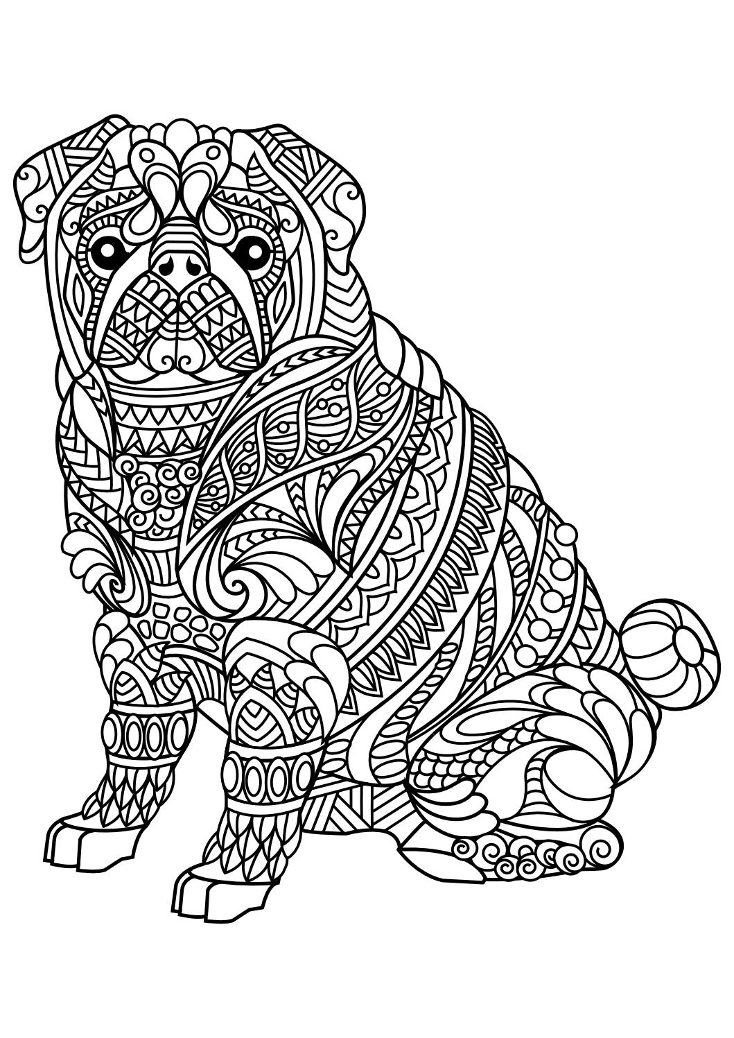 Pitbull Coloring Pages Pitbull Coloring Pages - birijus.com