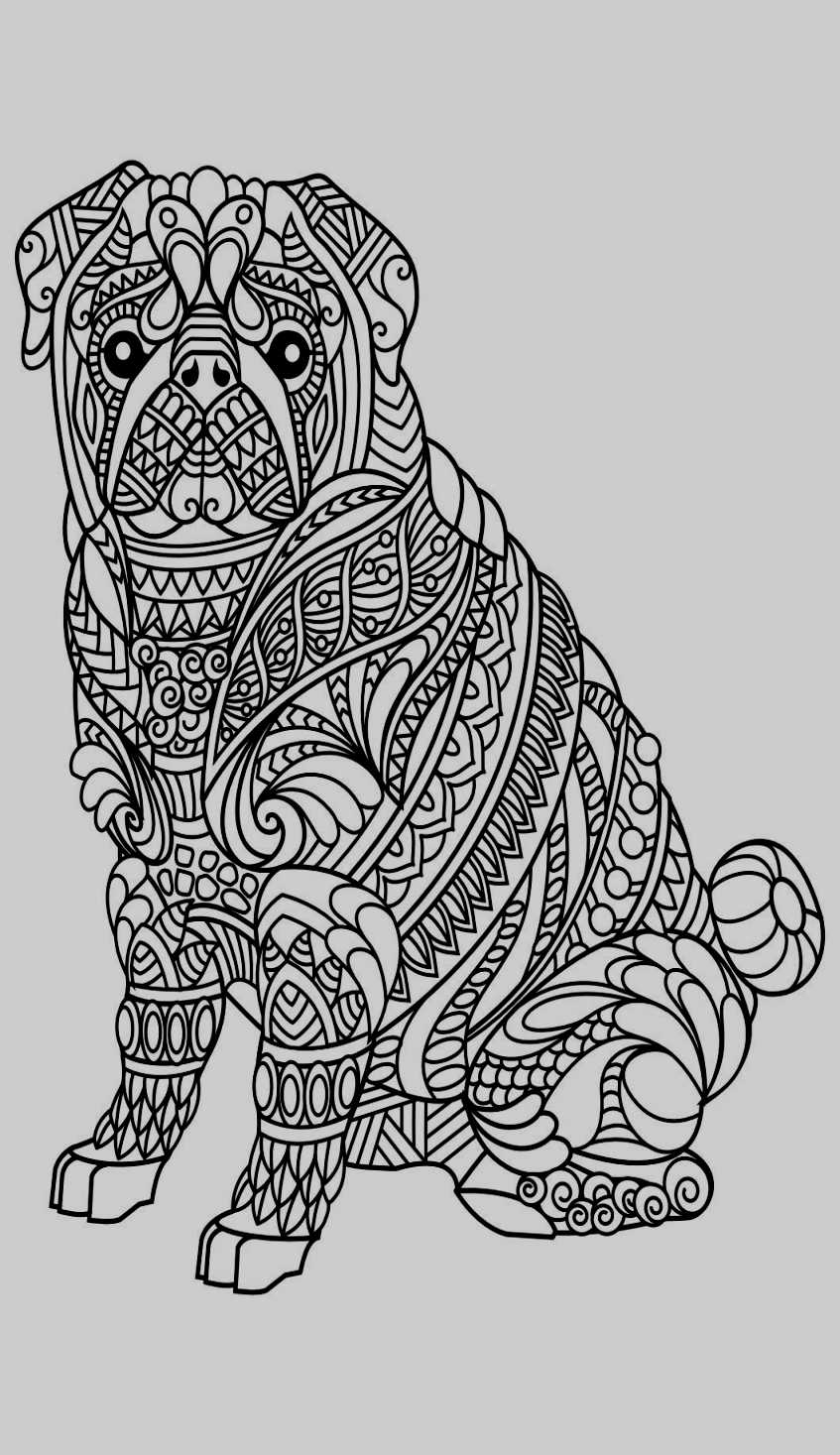 23+ Beautiful Picture of Pug Coloring Pages - birijus.com