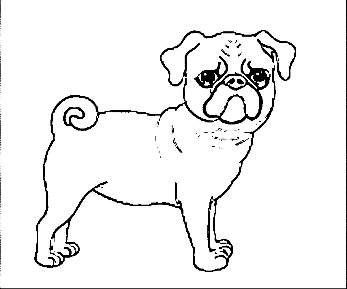 23+ Beautiful Picture of Pug Coloring Pages - birijus.com