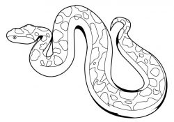 Snake Coloring Pages Coloring Page 32 Fantastic Snake Coloring Sheet