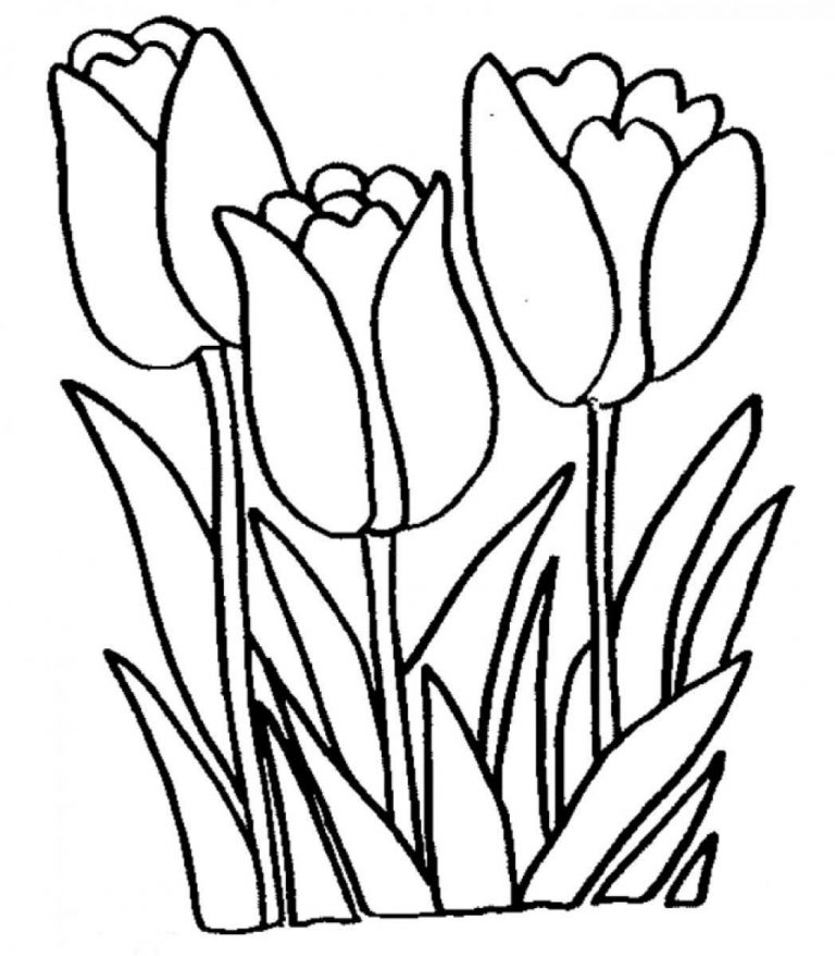 Tulip Coloring Pages Rabbit Smelling Tulip Coloring Page Tulip Coloring ...