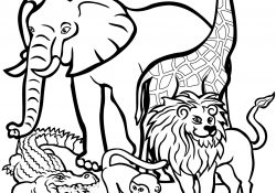Wild Animal Coloring Pages African Animals Coloring Pages Free Printable Pictures